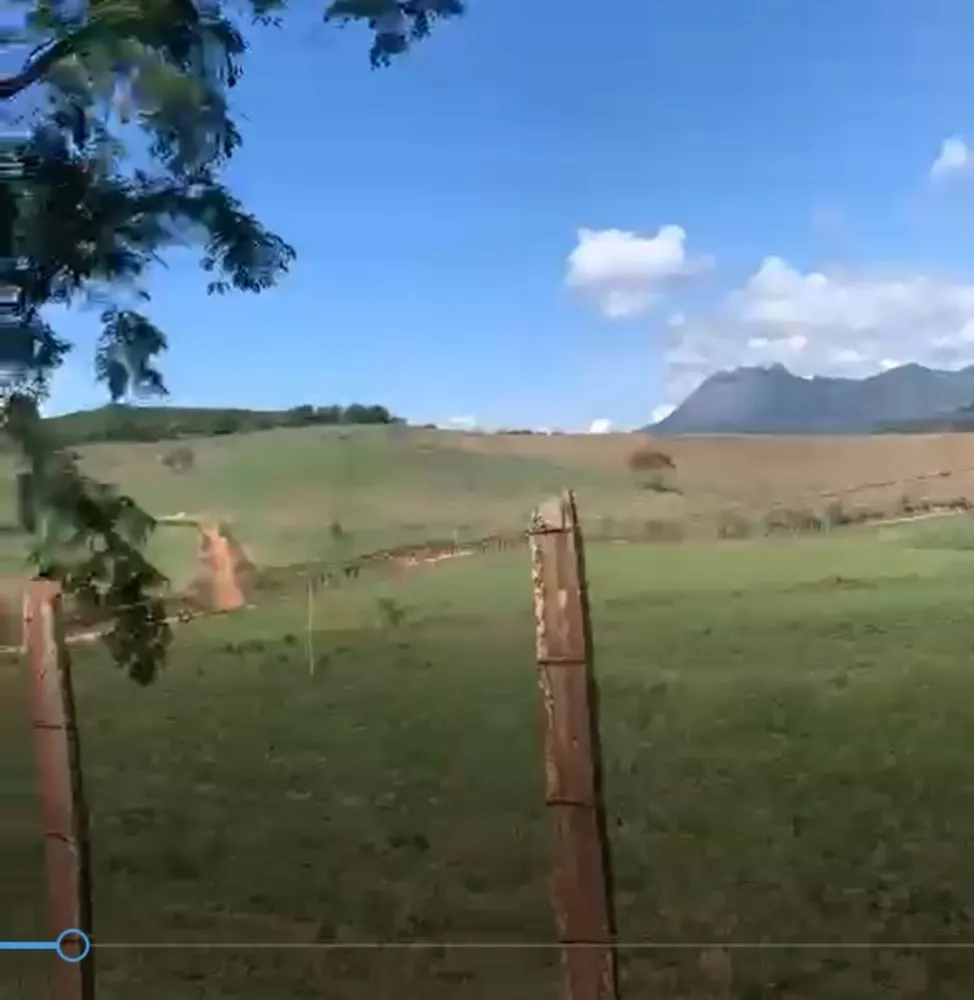 Fazenda, 320 hectares - Foto 5