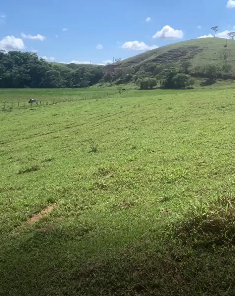 Fazenda, 320 hectares - Foto 1