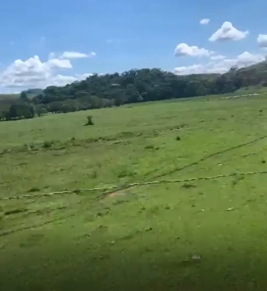 Fazenda, 320 hectares - Foto 10