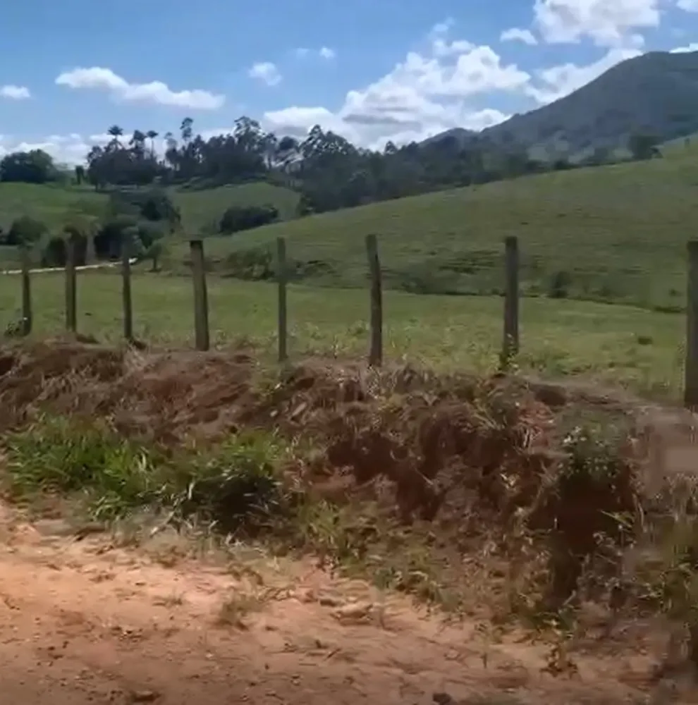 Fazenda, 320 hectares - Foto 2