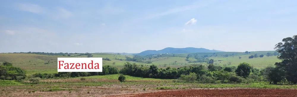 Fazenda, 145 hectares - Foto 2