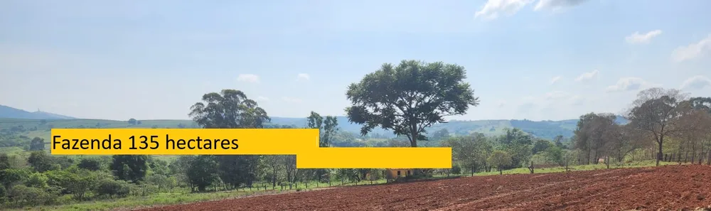 Fazenda, 145 hectares - Foto 6