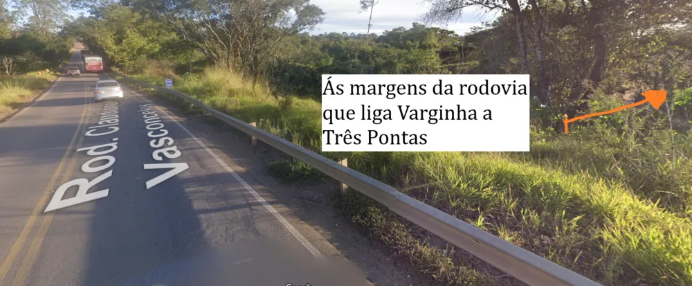 Fazenda, 145 hectares - Foto 7