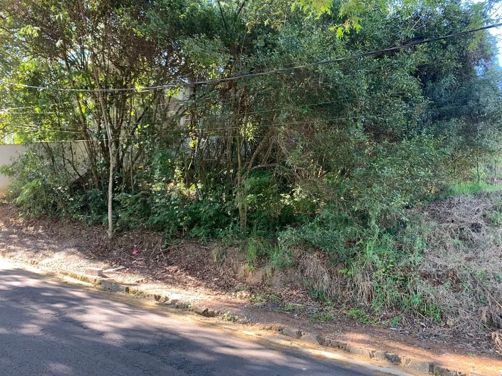 Terreno, 600 m² - Foto 3