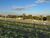 Terreno, 275 m² - Foto 2