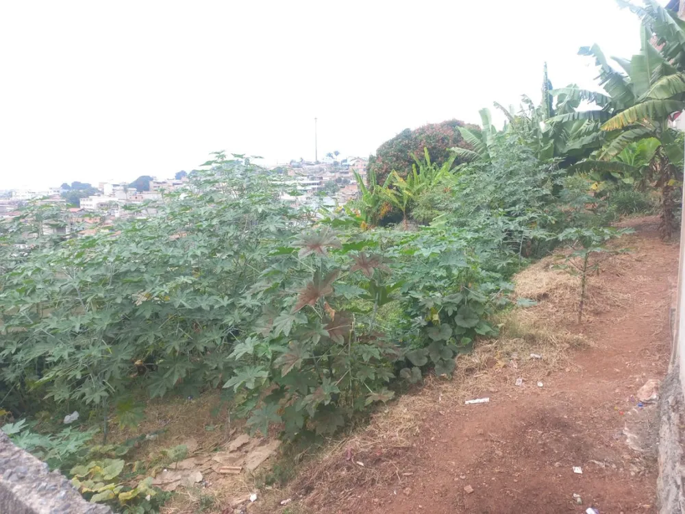 Terreno, 360 m² - Foto 3