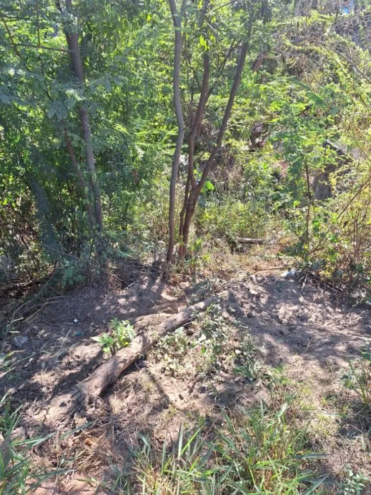 Terreno, 370 m² - Foto 5