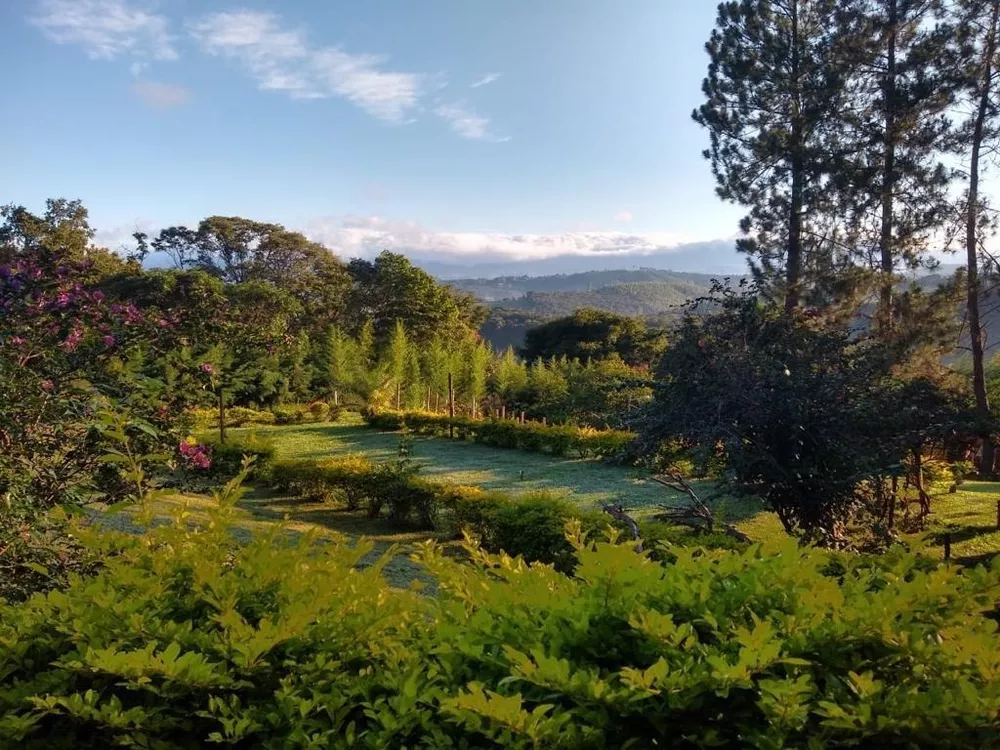 Chácara à venda com 1 quarto, 5000m² - Foto 14