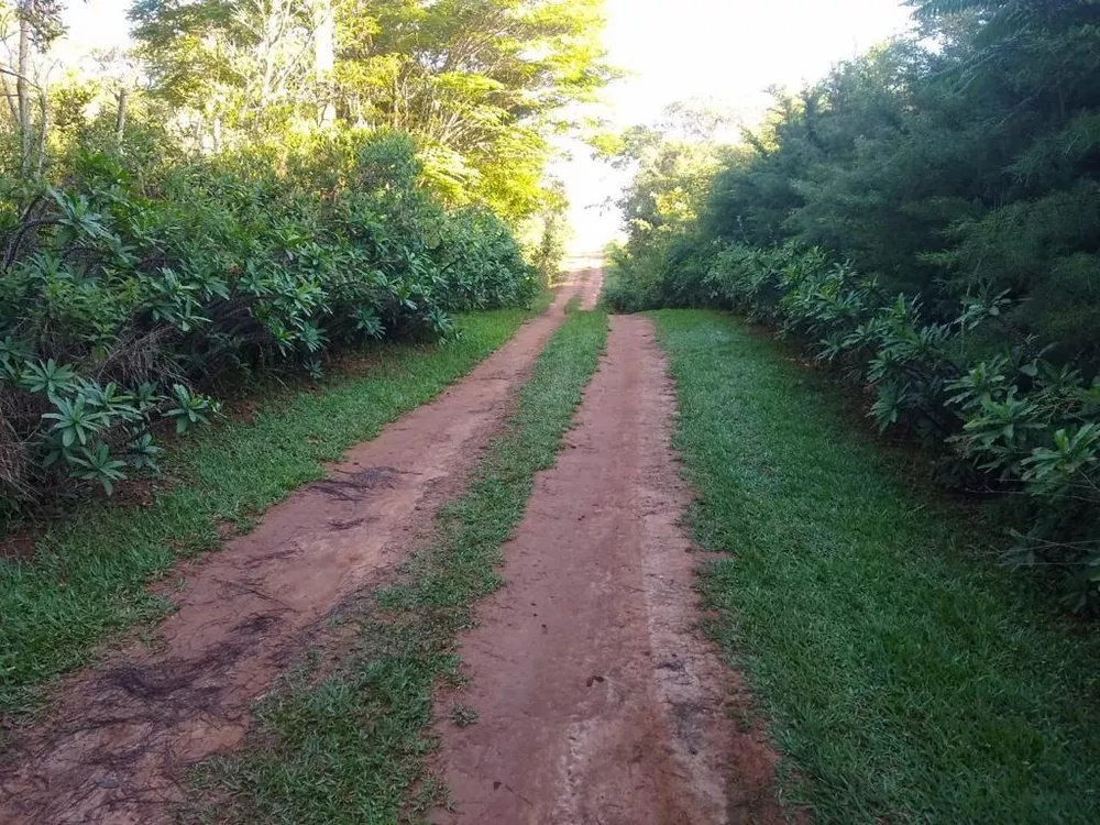 Chácara à venda com 1 quarto, 5000m² - Foto 3