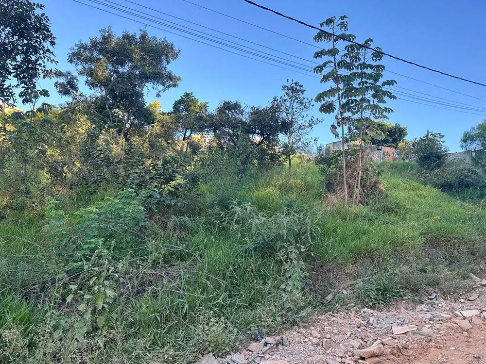 Terreno, 250 m² - Foto 2