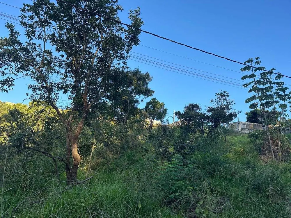Terreno, 250 m² - Foto 3
