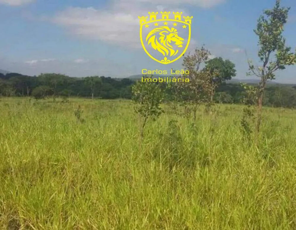 Fazenda, 127 hectares - Foto 10