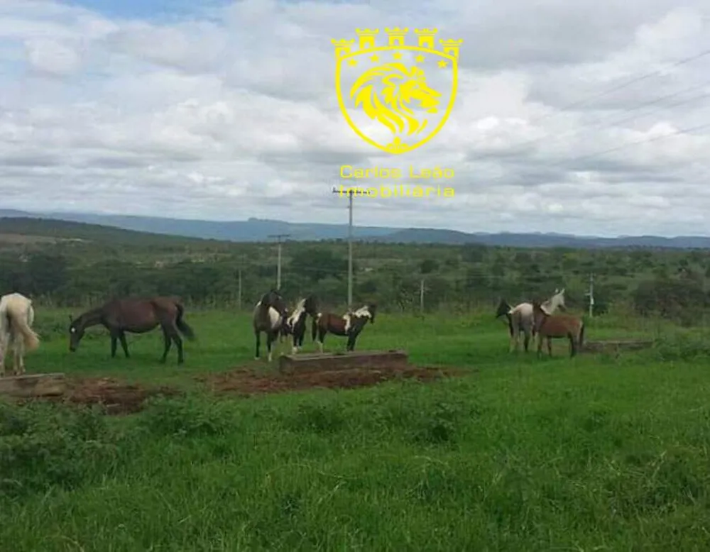 Fazenda, 127 hectares - Foto 1