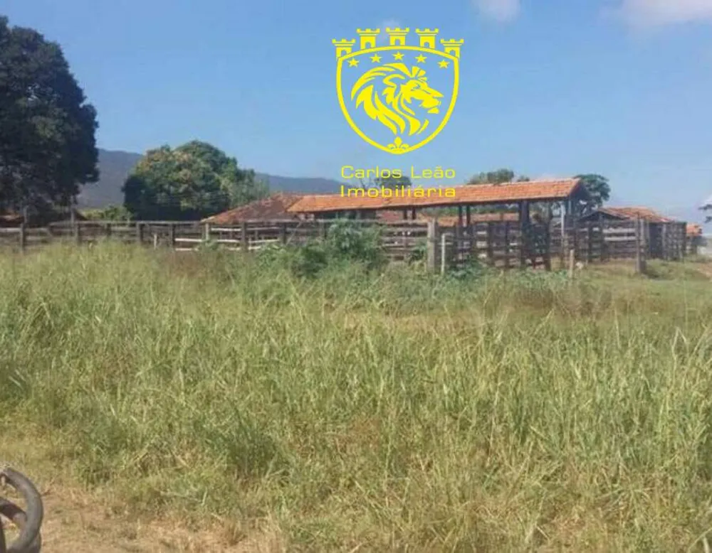 Fazenda, 127 hectares - Foto 11