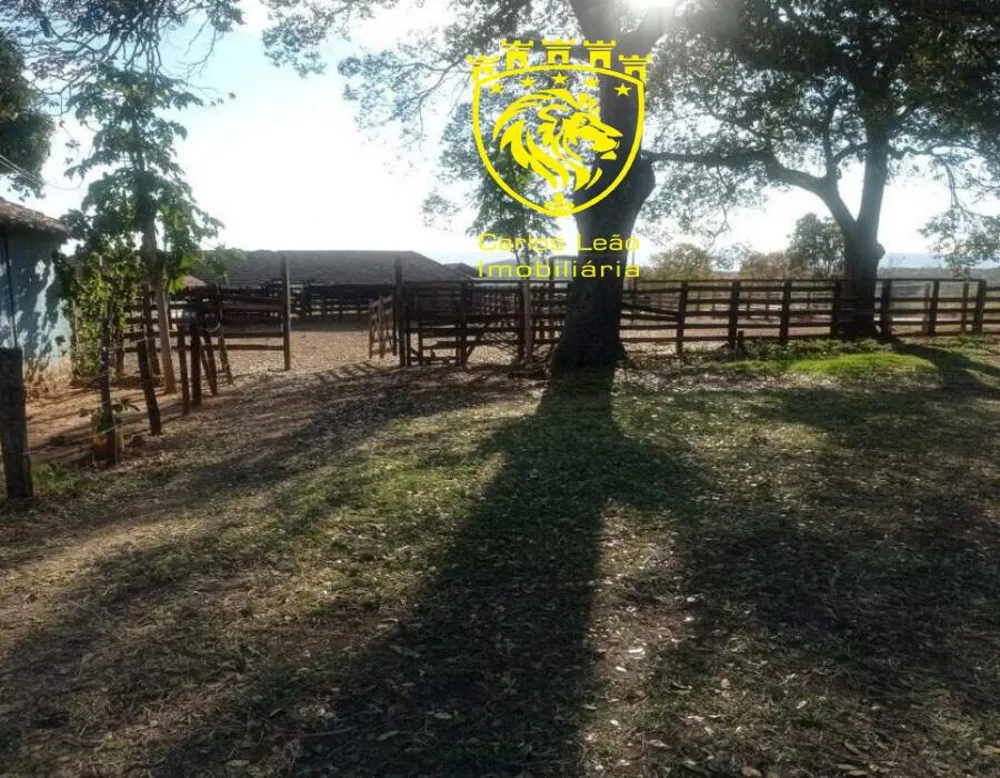 Fazenda, 127 hectares - Foto 12