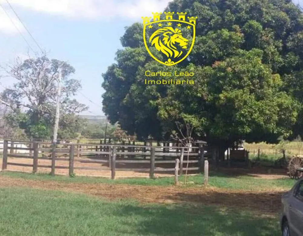 Fazenda, 127 hectares - Foto 4