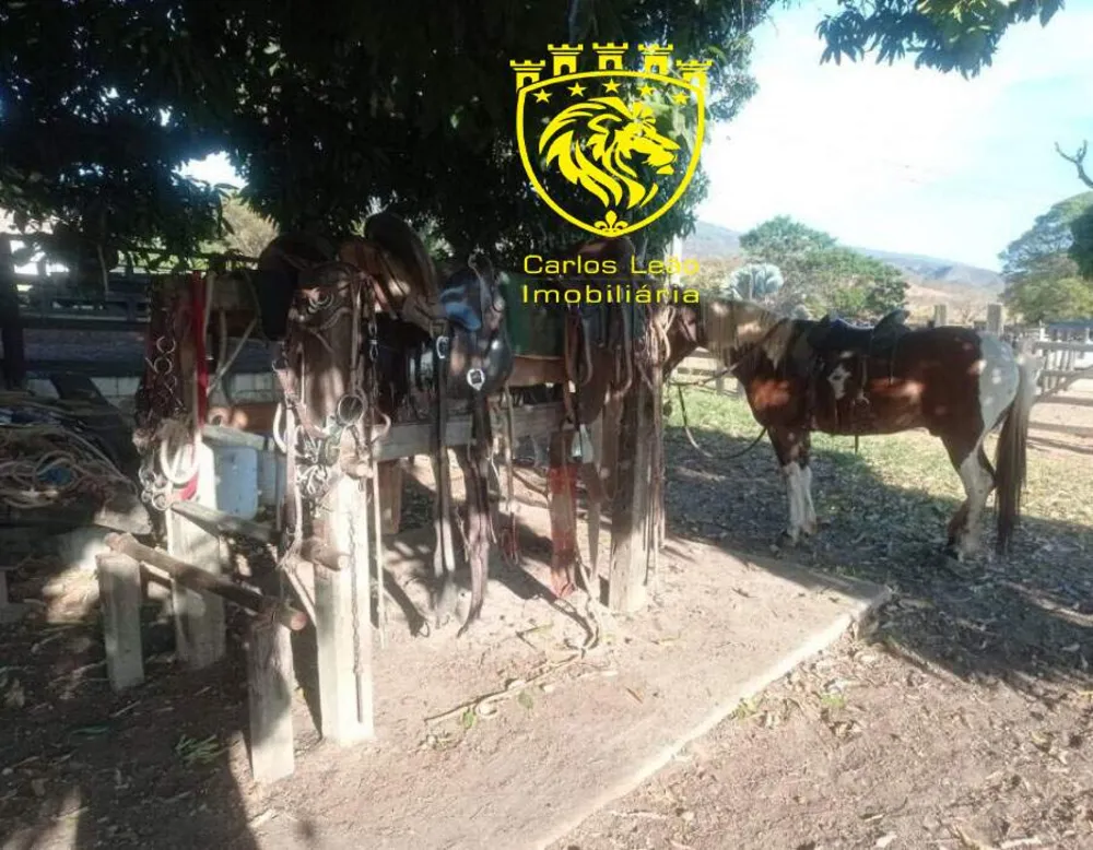 Fazenda, 127 hectares - Foto 7