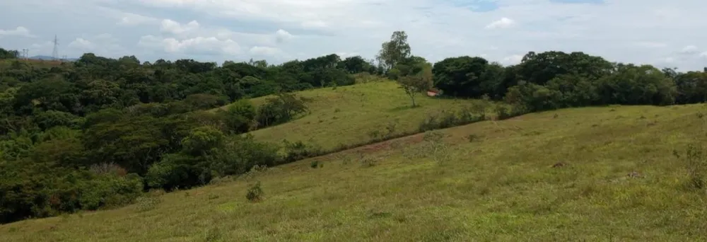 Fazenda, 142 hectares - Foto 11