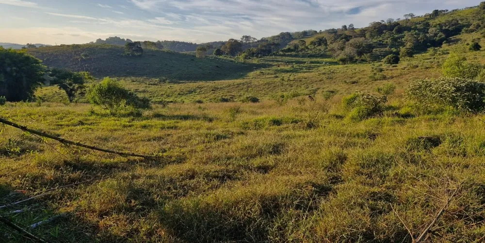 Fazenda, 142 hectares - Foto 11