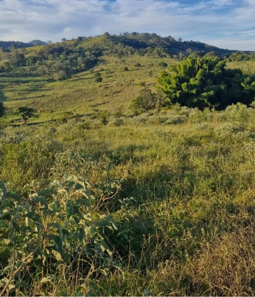Fazenda, 142 hectares - Foto 20