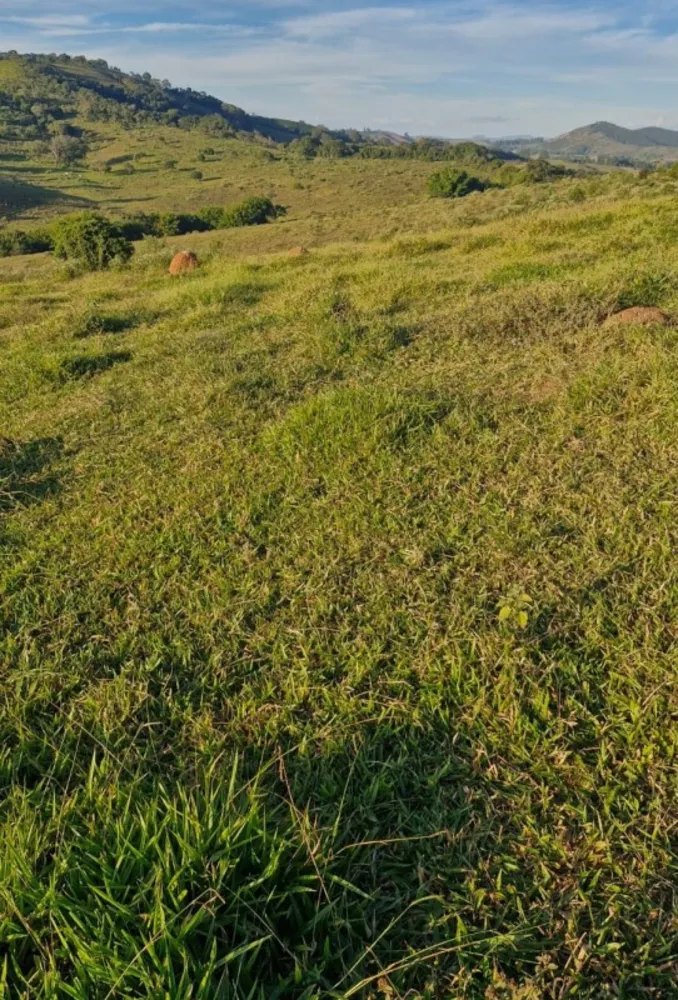 Fazenda, 142 hectares - Foto 5