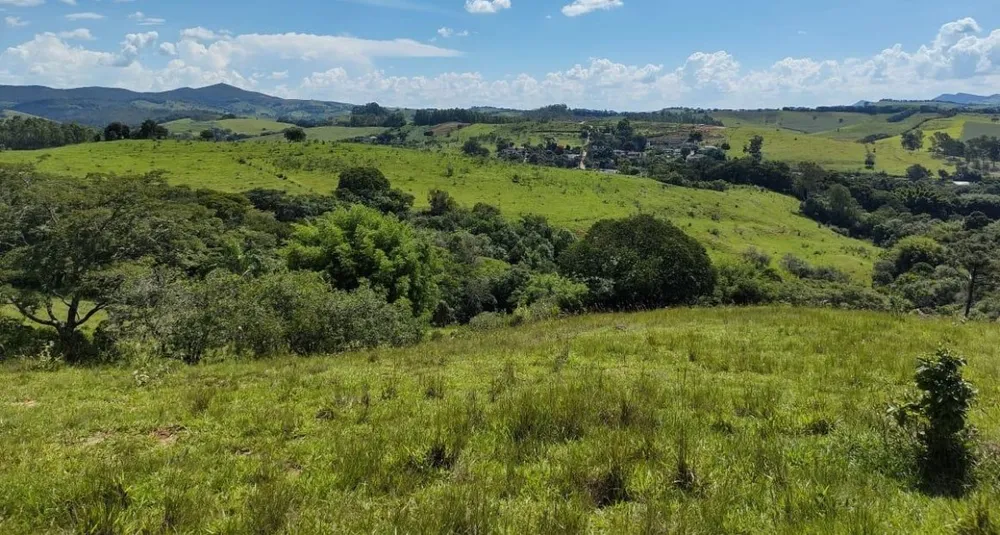 Fazenda, 142 hectares - Foto 14