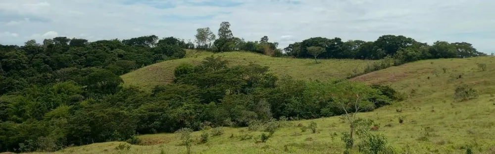 Fazenda, 142 hectares - Foto 12