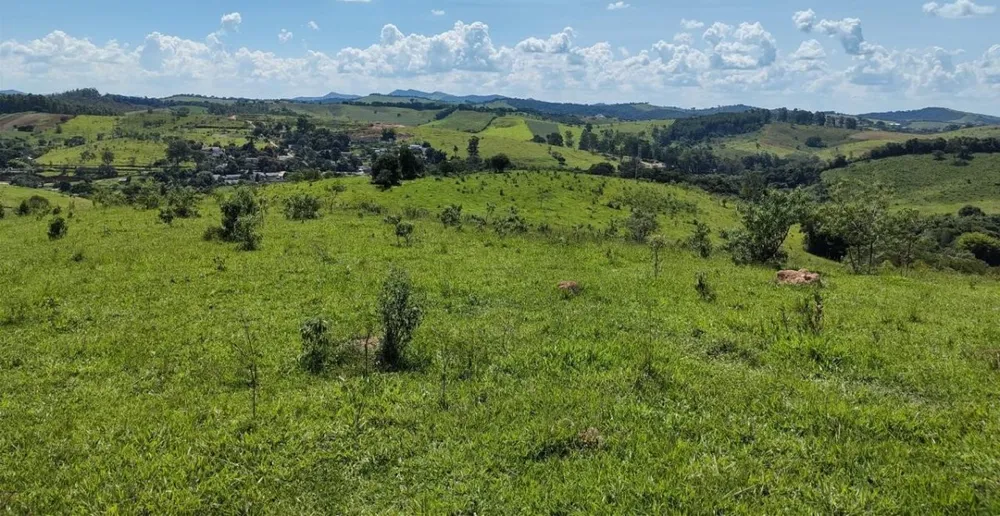 Fazenda, 142 hectares - Foto 1