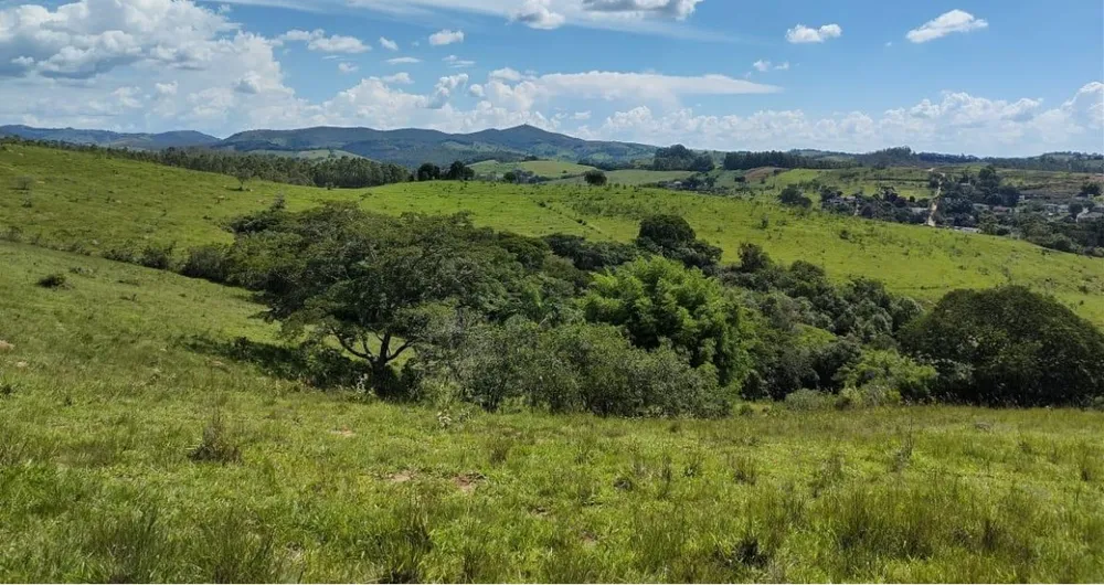 Fazenda, 142 hectares - Foto 3