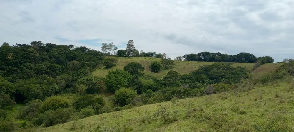 Fazenda, 142 hectares - Foto 7