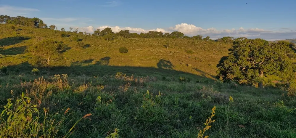 Fazenda, 142 hectares - Foto 10