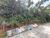 Terreno, 1500 m² - Foto 3