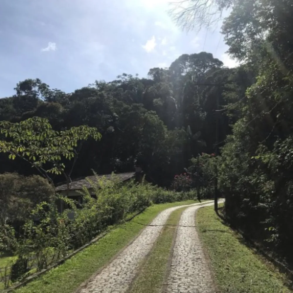 Chácara, 3 quartos, 5000 m² - Foto 8