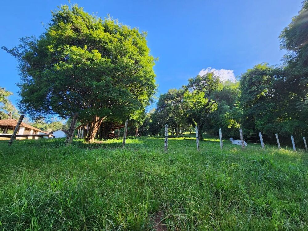 Fazenda à venda com 4 quartos, 895000m² - Foto 6