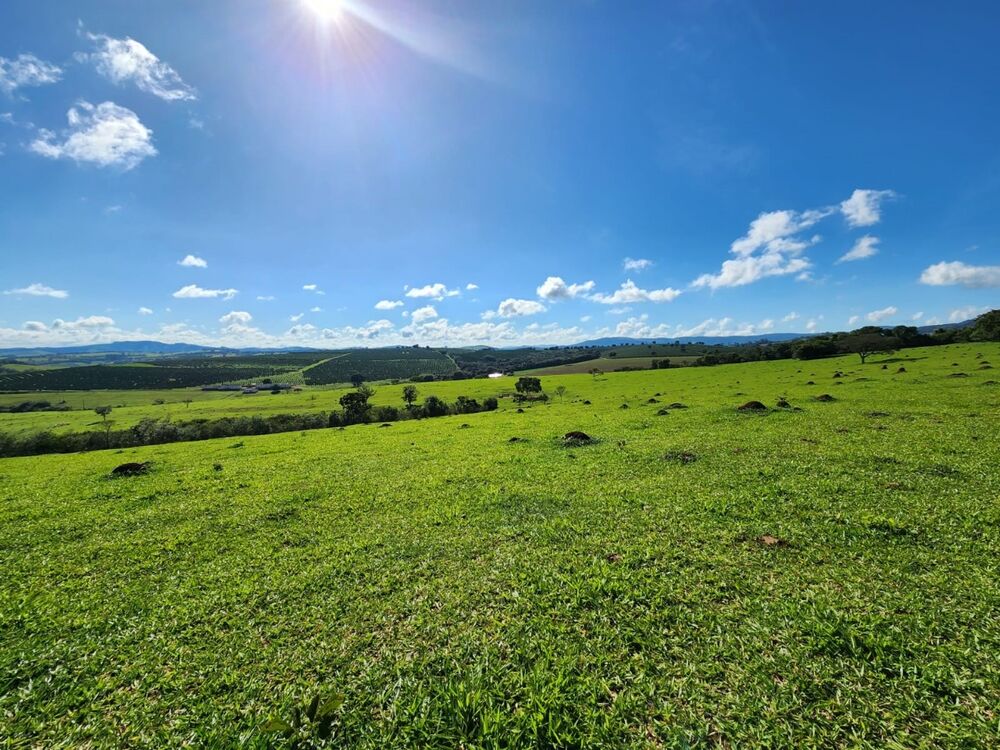 Fazenda à venda com 4 quartos, 895000m² - Foto 3