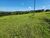 Fazenda, 90 hectares - Foto 4
