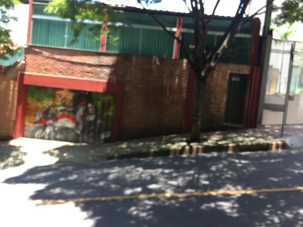Casa, 4 quartos, 600 m² - Foto 6