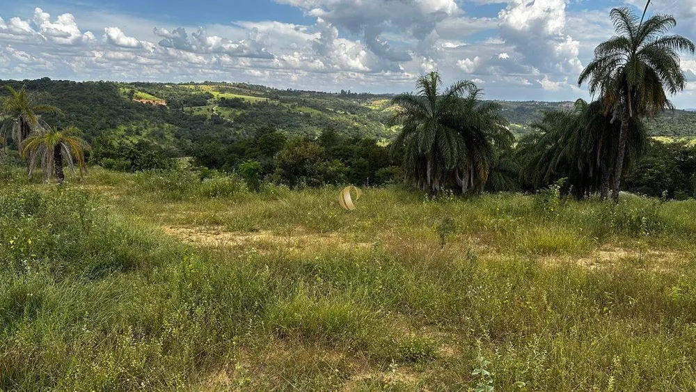 Terreno, 2 hectares - Foto 8