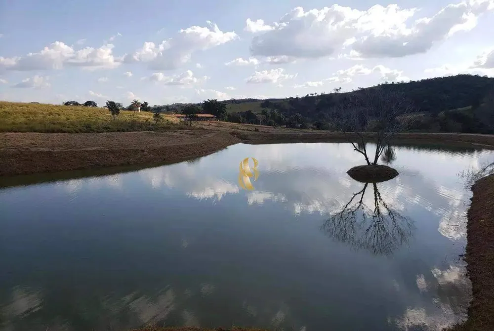 Terreno, 2 hectares - Foto 1