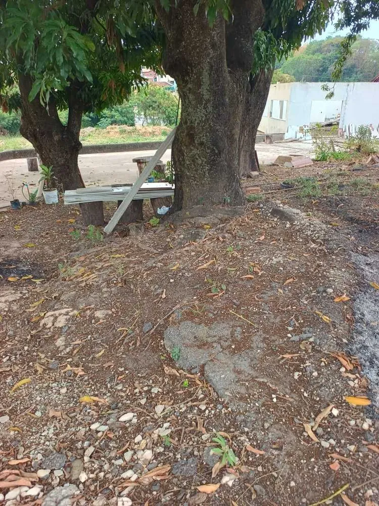 Terreno, 1450 m² - Foto 10