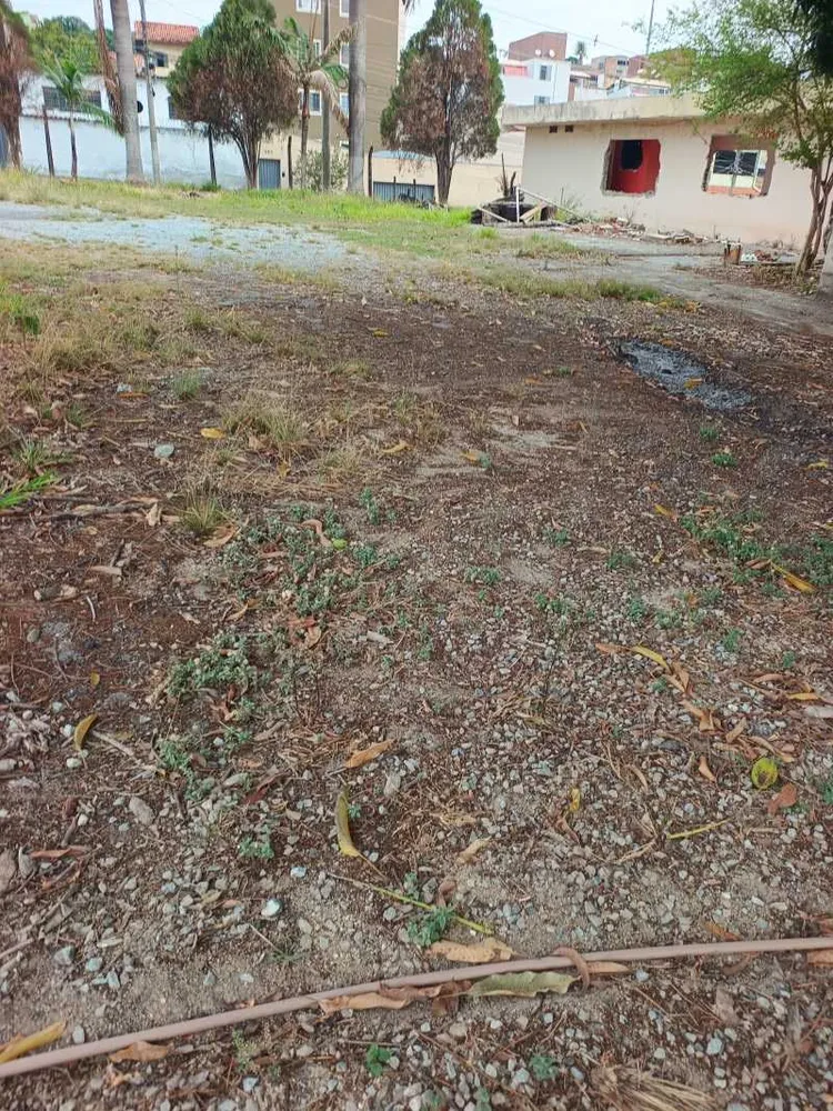 Terreno, 1450 m² - Foto 12