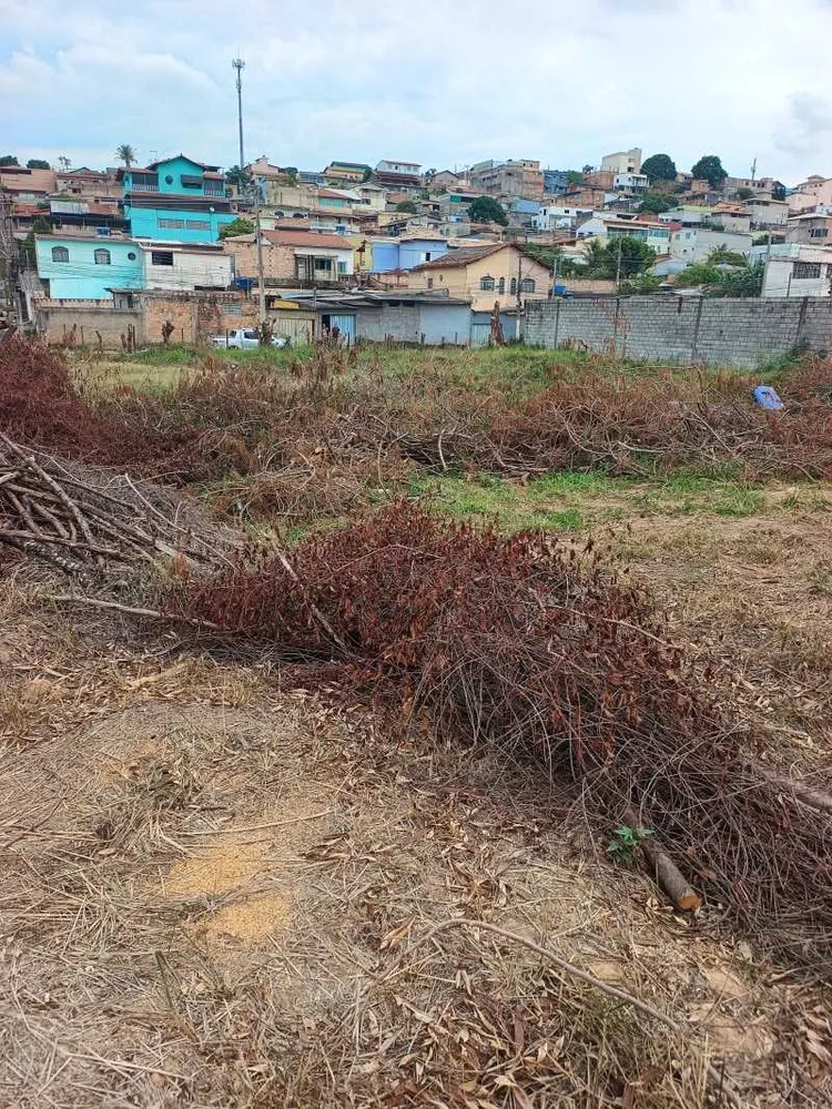 Terreno, 1450 m² - Foto 3