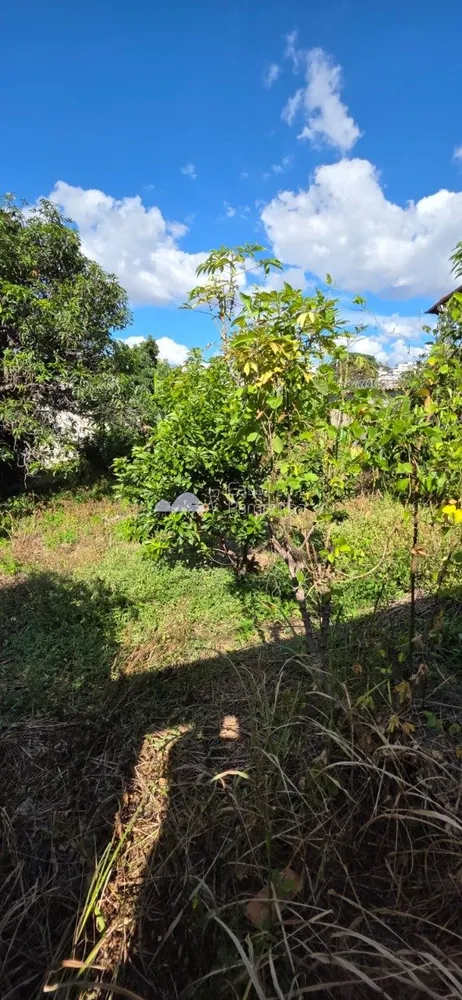 Terreno, 360 m² - Foto 5