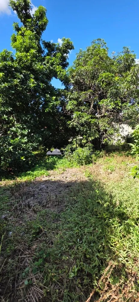 Terreno, 360 m² - Foto 3