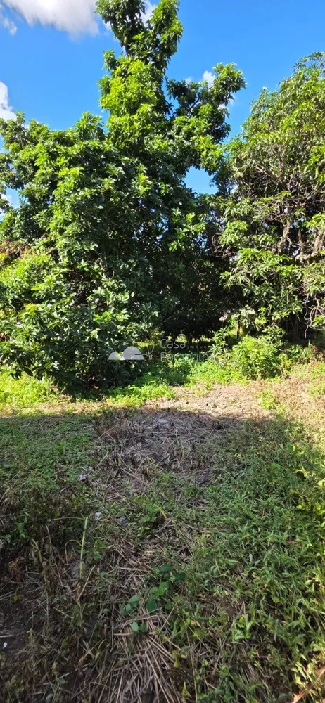 Terreno, 360 m² - Foto 1