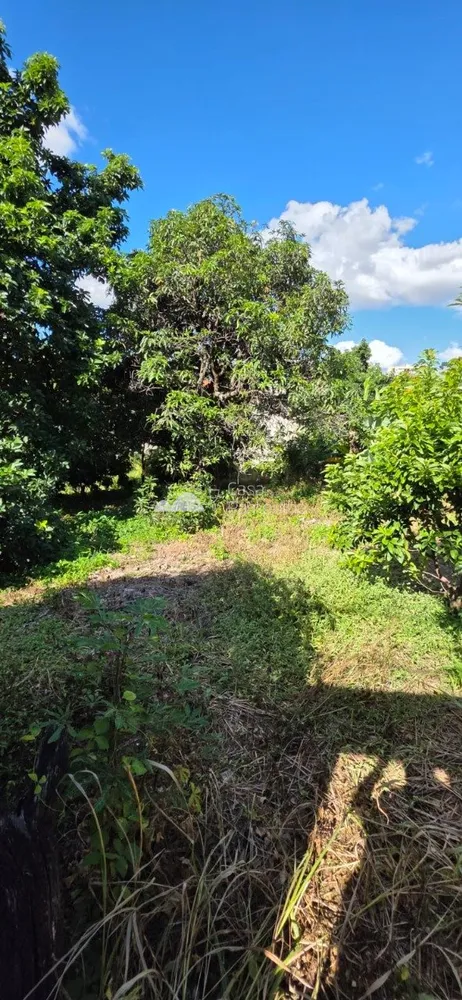 Terreno, 360 m² - Foto 4