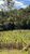 Terreno, 80 m² - Foto 3