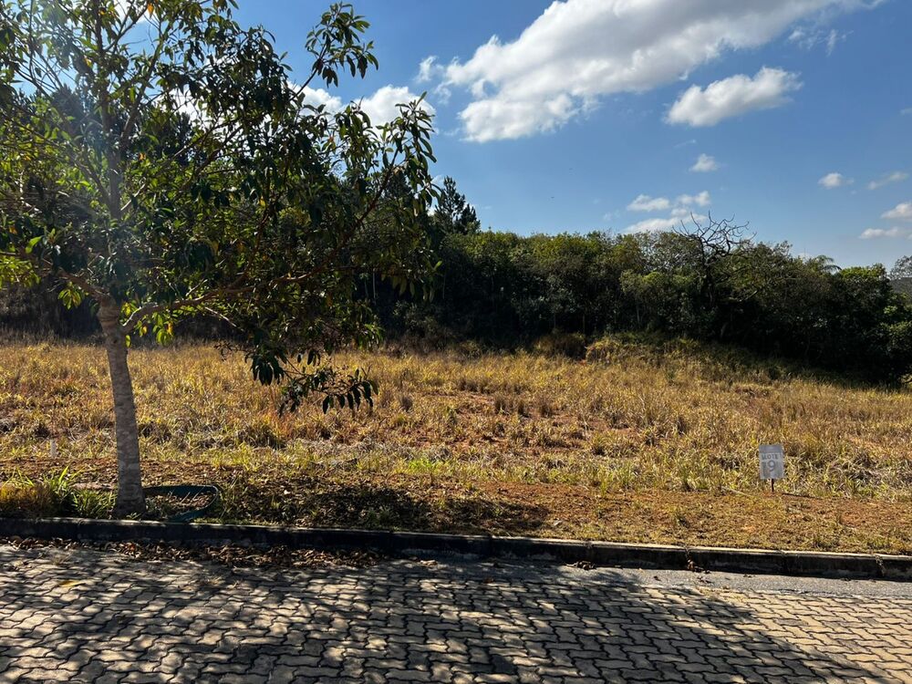 Terreno à venda, 2000m² - Foto 4