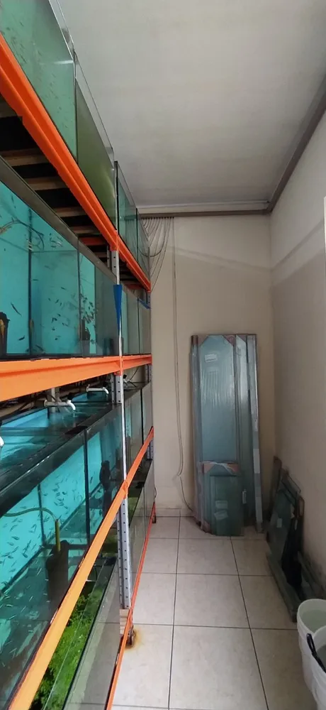 Casa, 3 quartos, 360 m² - Foto 9