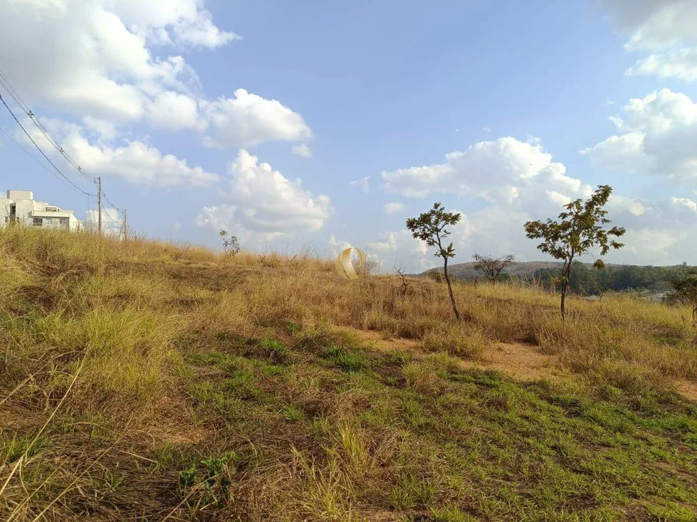 Terreno, 1000 m² - Foto 5
